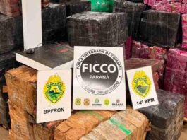 Operação integrada na região apreende quase 2 toneladas de maconha e armas em oficina