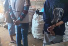 Operação prende 5 pessoas e desarticula esquema de tráfico em Santa Tereza do Oeste