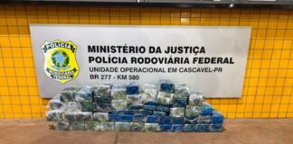 PRF apreende 139 kg de cocaína escondidos em assoalho de carreta durante fiscalização na BR-277 em Cascavel