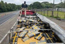 PRF apreende quase 2,5 toneladas de maconha em caminhão na BR-277 em Guarapuava
