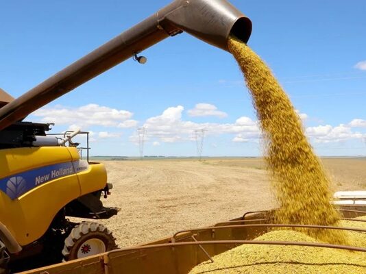 Paraná deve ter safra recorde de 550 mil toneladas de cevada em 2026