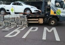 Perseguição na BR-163 termina com carro capotado e apreensão de mais de 630 kg de maconha em Toledo