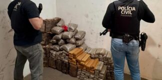 Polícia Civil apreende mais de 211 quilos de maconha após localizar veículo acidentado na BR-277