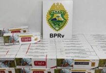 Polícia Rodoviária apreende 150 pacotes de cigarros contrabandeados na PR-364, em Terra Roxa