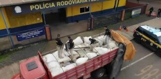 Polícia apreende 7 kg de haxixe marroquino e iPhones na Rodoviária da região avaliados em R 500 mil