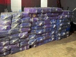 Polícia apreende mais de 2 toneladas de maconha no interior do Paraná
