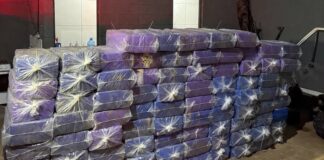 Polícia apreende mais de 2 toneladas de maconha no interior do Paraná