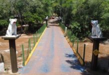 Prefeitura sanciona lei e amplia apoio à Festa do Porco no Rolete para até R$ 225 mil