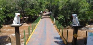 Prefeitura sanciona lei e amplia apoio à Festa do Porco no Rolete para até R$ 225 mil