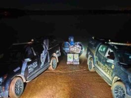 Quase 900 quilos de maconha são apreendidos em porto clandestino de Santa Helena