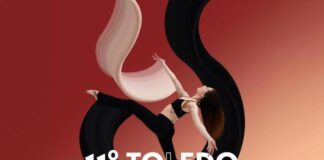 Secretaria da Cultura abre inscrições para oficinas do 11º Toledo em Dança