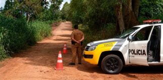 Sistema FAEP cobra investimento em conectividade para garantir segurança no meio rural