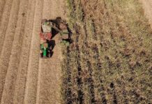 VBP Agropecuário do Paraná cresce 13% e alcança R$ 212,6 bilhões em 2025