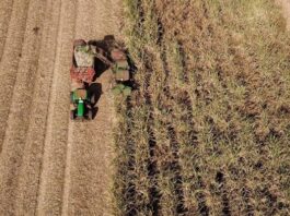 VBP Agropecuário do Paraná cresce 13% e alcança R$ 212,6 bilhões em 2025