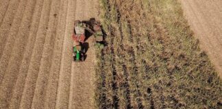 VBP Agropecuário do Paraná cresce 13% e alcança R$ 212,6 bilhões em 2025