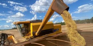 Venda de soja impulsionou a balança comercial do Paraná no primeiro quadrimestre