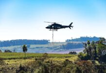 PRF realiza semeadura aérea de 18 toneladas de sementes de palmeira-juçara no Paraná