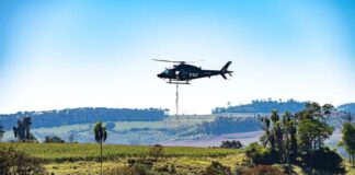 PRF realiza semeadura aérea de 18 toneladas de sementes de palmeira-juçara no Paraná