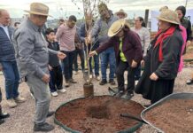 Horta Agrocidadão é entregue a famílias beneficiadas em Toledo