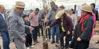 Horta Agrocidadão é entregue a famílias beneficiadas em Toledo