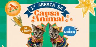 1º Arraiá da Causa Animal movimentará o Diva Paim Barth neste sábado (18)