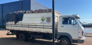 200 mil maços de cigarros contrabandeados são apreendidos após perseguição em Mercedes