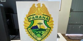 Ação integrada entre polícias prende suspeito de furtos de caminhonetes em Palotina