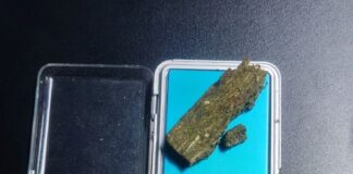 Ameaças contra companheira terminam com homem preso e maconha apreendida em Toledo