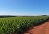 Câmara de Toledo antecipa R$ 500 mil para obras em estradas rurais antes da chegada do El Niño