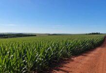 Câmara de Toledo antecipa R$ 500 mil para obras em estradas rurais antes da chegada do El Niño