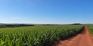 Câmara de Toledo antecipa R$ 500 mil para obras em estradas rurais antes da chegada do El Niño