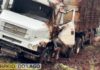 Caminhão carregado com suínos tomba em estrada da região e deixa animais mortos