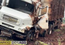 Caminhão carregado com suínos tomba em estrada da região e deixa animais mortos
