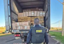 Caminhão com madeira escondia carga milionária de cigarros contrabandeados na BR-163