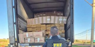 Caminhão com madeira escondia carga milionária de cigarros contrabandeados na BR-163