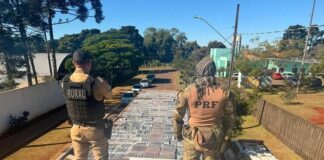 Caminhoneiro diz que saiu de Maripá com quase 3 toneladas de maconha