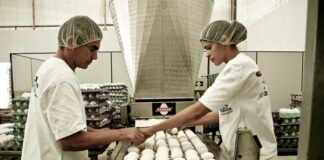 Com consumo mais baixo em período de férias escolares, ovo fica mais barato nas granjas