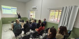 Combate à febre chikungunya é o centro das atenções em encontro de comitê