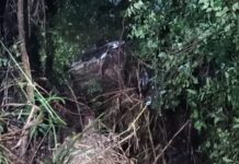 Corolla fica destruído ao cair em barranco de 15 metros na PR-182, em Toledo