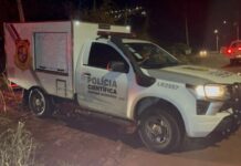 Corpo em decomposição é encontrado em chácara, em Cascavel