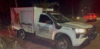 Corpo em decomposição é encontrado em chácara, em Cascavel