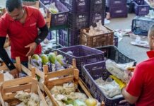 Governo anuncia crédito de R$ 97,3 bi para agricultores familiares