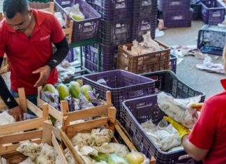 Governo anuncia crédito de R$ 97,3 bi para agricultores familiares