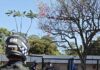 Guarda Municipal orienta usuários de scooters e patinetes elétricos