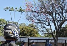 Guarda Municipal orienta usuários de scooters e patinetes elétricos