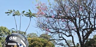 Guarda Municipal orienta usuários de scooters e patinetes elétricos