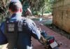Guarda Municipal recupera motocicleta furtada abandonada em trilha de Toledo