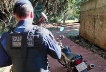 Guarda Municipal recupera motocicleta furtada abandonada em trilha de Toledo