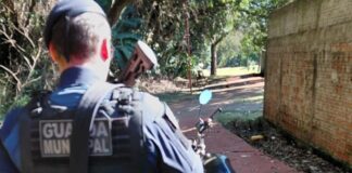 Guarda Municipal recupera motocicleta furtada abandonada em trilha de Toledo