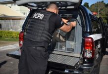 Homem condenado por tráfico e roubo é preso em Mercedes